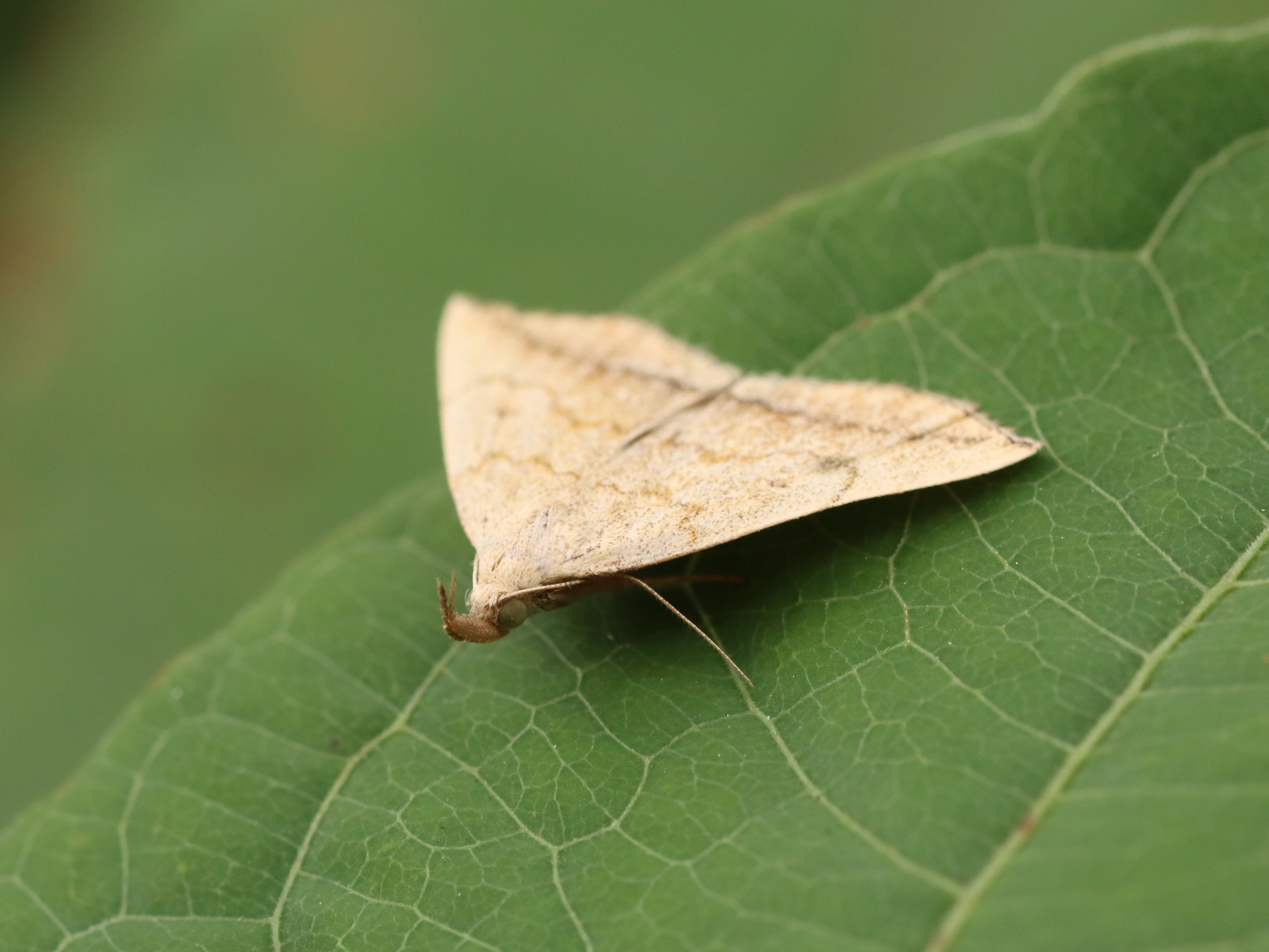 photo_1